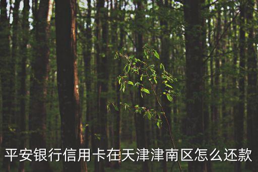 天津信用卡怎么還款，平安銀行信用卡在天津津南區(qū)怎么還款
