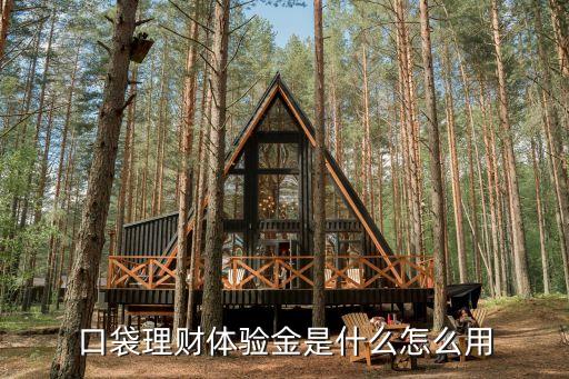 口袋理財新手怎么用，麻袋理財新手注冊送200元代金券如何使用