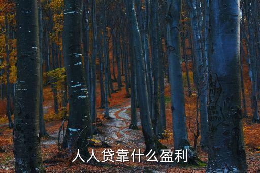 人人貸靠什么盈利