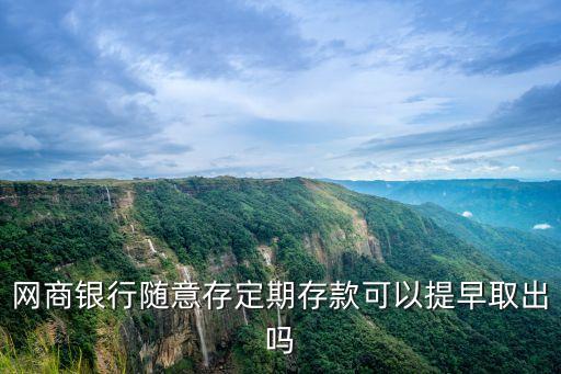 網(wǎng)商銀行隨意存定期存款可以提早取出嗎