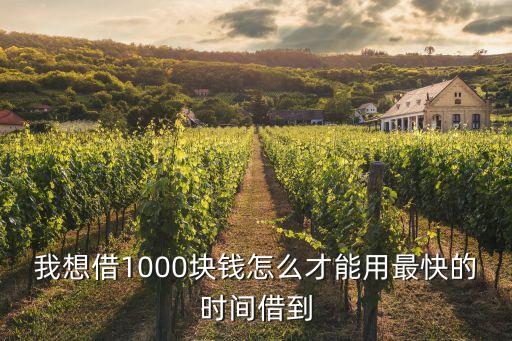 我想借1000塊錢怎么才能用最快的時間借到