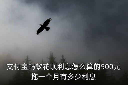 螞蟻花唄 不分期 利息怎么算，支付寶螞蟻花唄利息怎么算的500元拖一個(gè)月有多少利息
