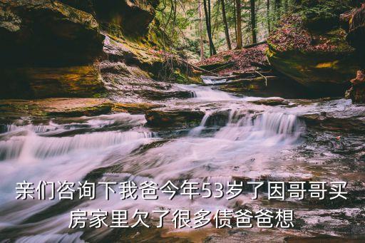親們咨詢下我爸今年53歲了因哥哥買房家里欠了很多債爸爸想