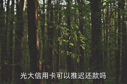 光大信用卡可以推遲還款嗎