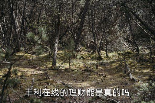 豐利理財怎么樣，豐利在線的理財能是真的嗎