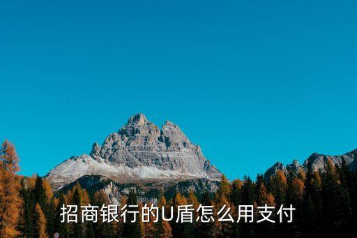 招商銀行的U盾怎么用支付