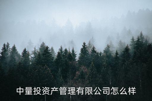 中量控股集團怎么樣，中梁控股集團 和 三巽集團 兩大家房地產(chǎn)哪個更好呢