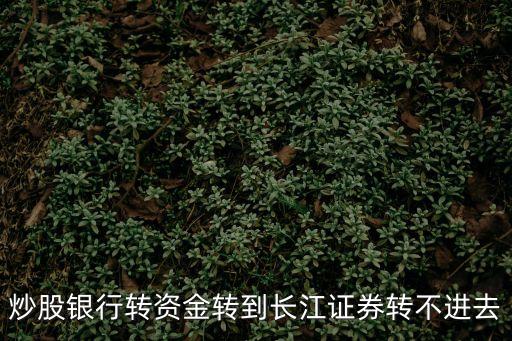炒股銀行轉(zhuǎn)資金轉(zhuǎn)到長(zhǎng)江證券轉(zhuǎn)不進(jìn)去
