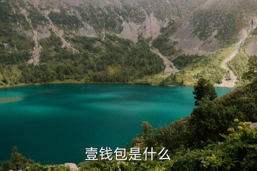 壹錢包是什么