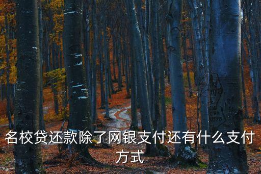 名校貸還款除了網(wǎng)銀支付還有什么支付方式