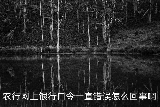 農(nóng)行網(wǎng)上銀行口令一直錯(cuò)誤怎么回事啊