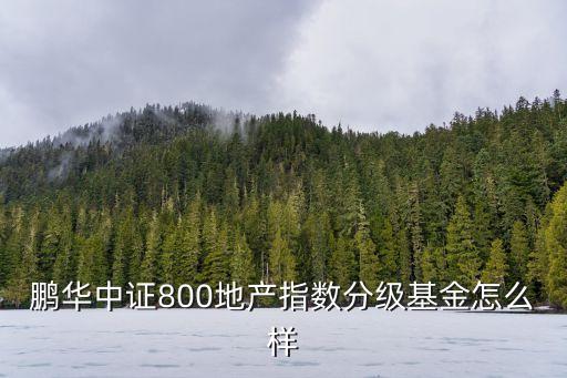 鵬華地產(chǎn)怎么樣，鵬華資產(chǎn)工資待遇怎樣