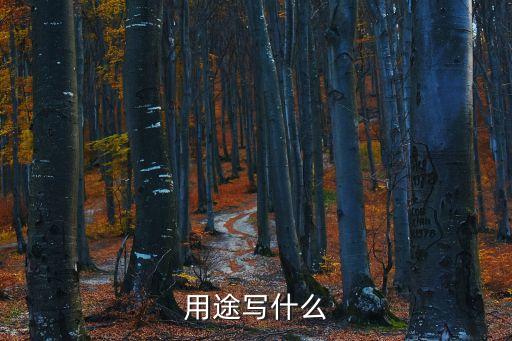 用途說明怎么寫，貸款用途說明怎么寫