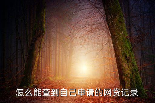 怎么能查到自己申請(qǐng)的網(wǎng)貸記錄