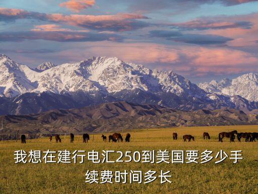 我想在建行電匯250到美國要多少手續(xù)費(fèi)時(shí)間多長