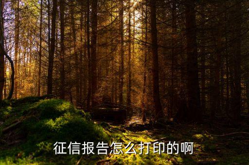 征信報告怎么打印的啊