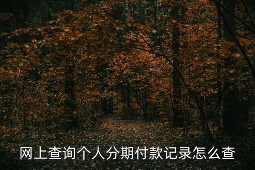 怎么查分期付款的日期，怎樣查詢看分期付款