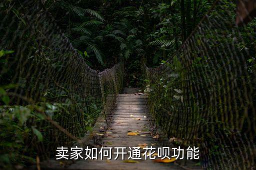 商家怎么開通花唄付款方式，淘寶商家怎么設(shè)置螞蟻花唄付款方式