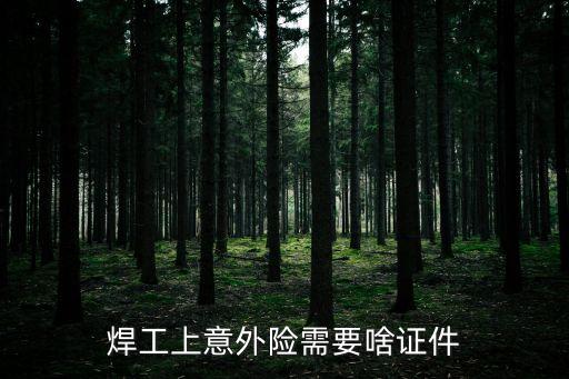 焊工上意外險(xiǎn)需要啥證件