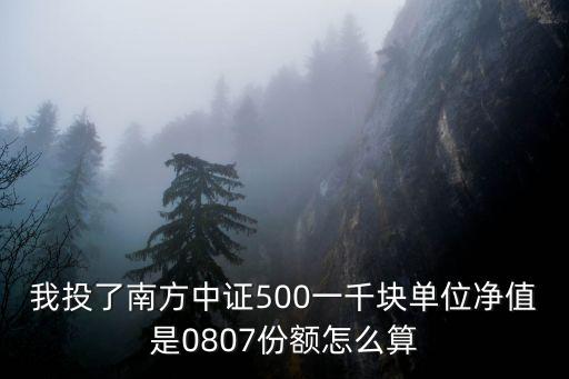 我投了南方中證500一千塊單位凈值是0807份額怎么算