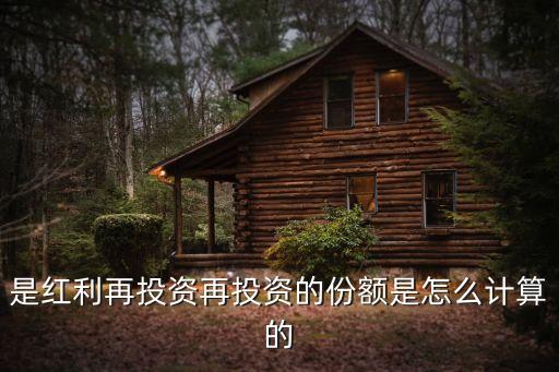 是紅利再投資再投資的份額是怎么計算的