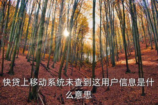 快貸上移動系統(tǒng)未查到這用戶信息是什么意思
