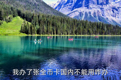 招行全幣卡可以在國內用不了怎么辦，招商銀行全幣種信用卡在國內不能用