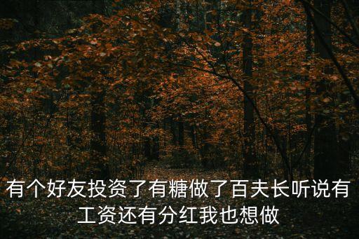 有個(gè)好友投資了有糖做了百夫長聽說有工資還有分紅我也想做