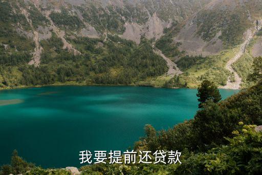提前還款的理由怎么寫，提前還貸