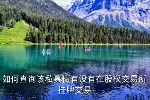 如何查詢該私募債有沒有在股權(quán)交易所掛牌交易