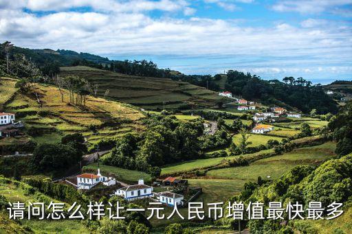 請(qǐng)問(wèn)怎么樣讓一元人民幣增值最快最多