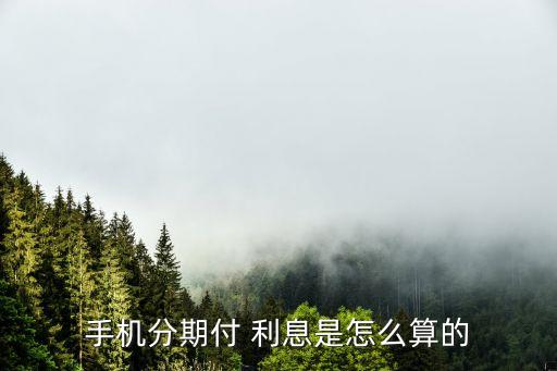 手機分期付 利息是怎么算的