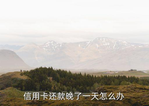 信用卡我逾期了一天怎么辦，信用卡的問題的還款日期了我晚還一天會怎么樣啊