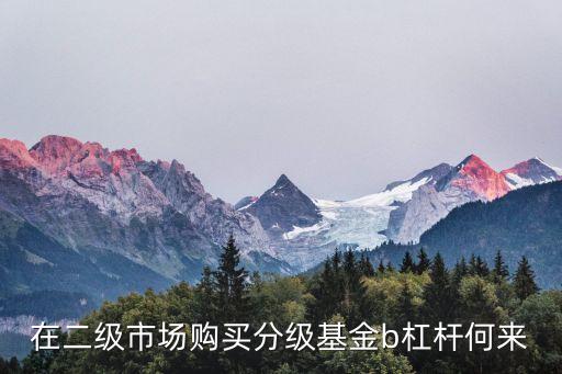 分級基金怎么加杠桿，在二級市場購買分級基金b杠桿何來