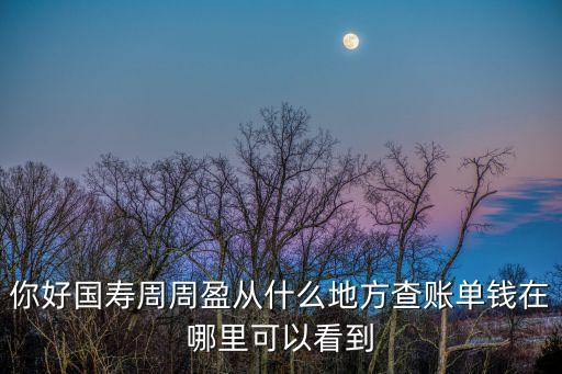 往期周周盈怎么查，怎么查看支付寶國(guó)壽周周盈我當(dāng)初的購(gòu)買日期