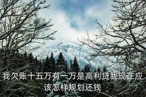 我欠賬十五萬有一萬是高利貸我現(xiàn)在應(yīng)該怎樣規(guī)劃還錢
