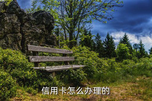 有了招商銀行信用卡怎么辦理信用卡，信用卡怎么辦理的