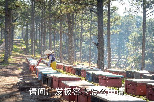 請問廣發(fā)極客卡怎么申請