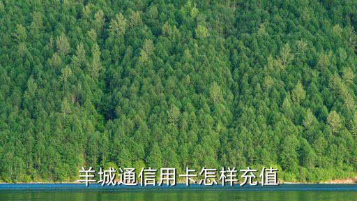 給信用卡怎么充值，羊城通信用卡怎樣充值