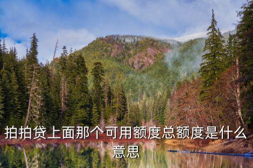 拍拍貸怎么看可用額度多少錢，怎樣能在拍拍貸上看到自己的可用額度是