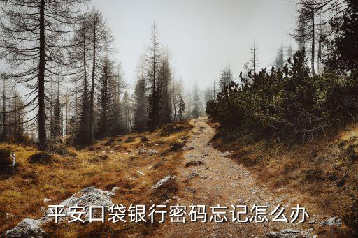 平安ukey密碼忘了怎么辦，個人網(wǎng)銀ukey密碼忘記怎么辦