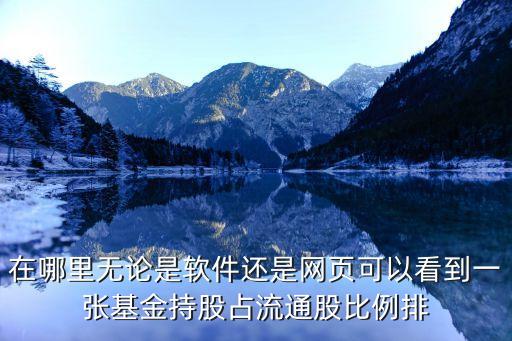 在哪里無論是軟件還是網(wǎng)頁可以看到一張基金持股占流通股比例排