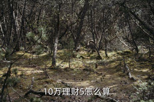 10萬理財5怎么算