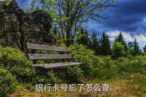 怎么能查銀行卡號，如何用身份證查銀行卡號
