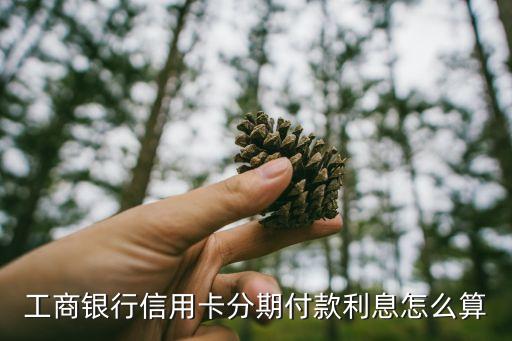 工行分期卡利息怎么算利息，工商銀行分期付款利率怎么算