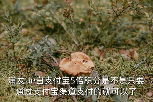 浦發(fā)ae白支付寶5倍積分是不是只要通過支付寶渠道支付的就可以了