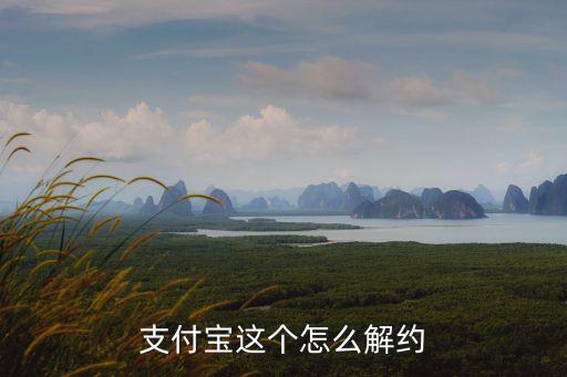 支付寶這個怎么解約
