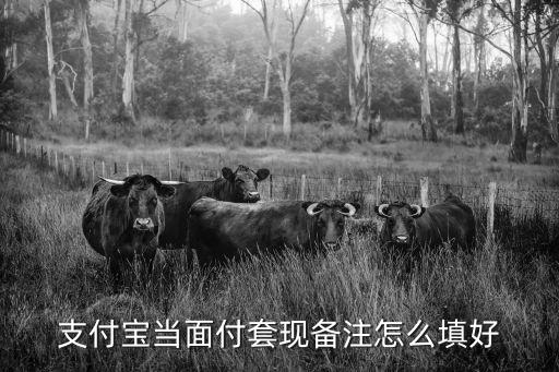 支付寶當(dāng)面付套現(xiàn)備注怎么填好