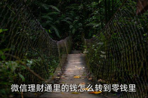 微信理財通里的錢怎么轉(zhuǎn)到零錢里