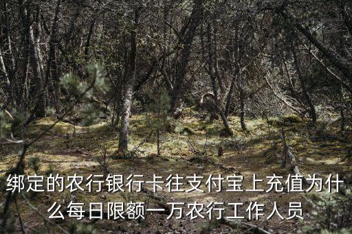 農(nóng)行限額10000 怎么，農(nóng)行支付寶限額怎么改